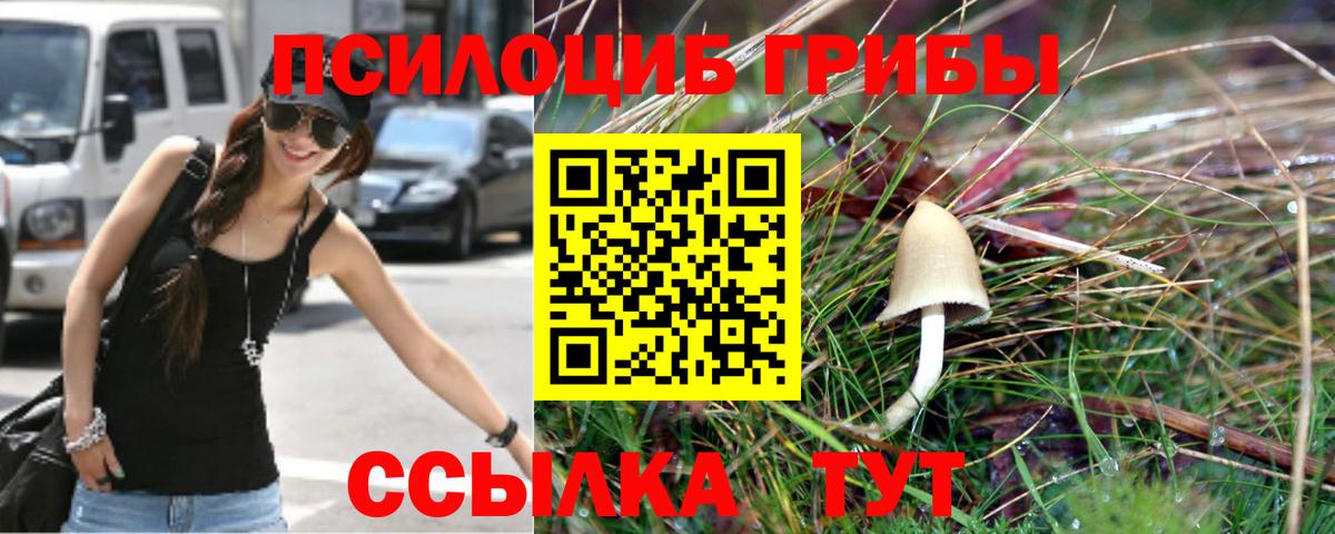 Псилоцибиновые грибы ЛСД Артёмовский