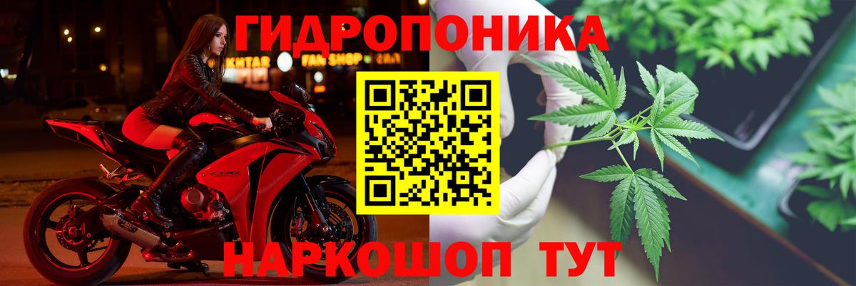 Каннабис конопля  Каннабис индика  Вход с VPN  Марихуана VHQ  Артёмовский 